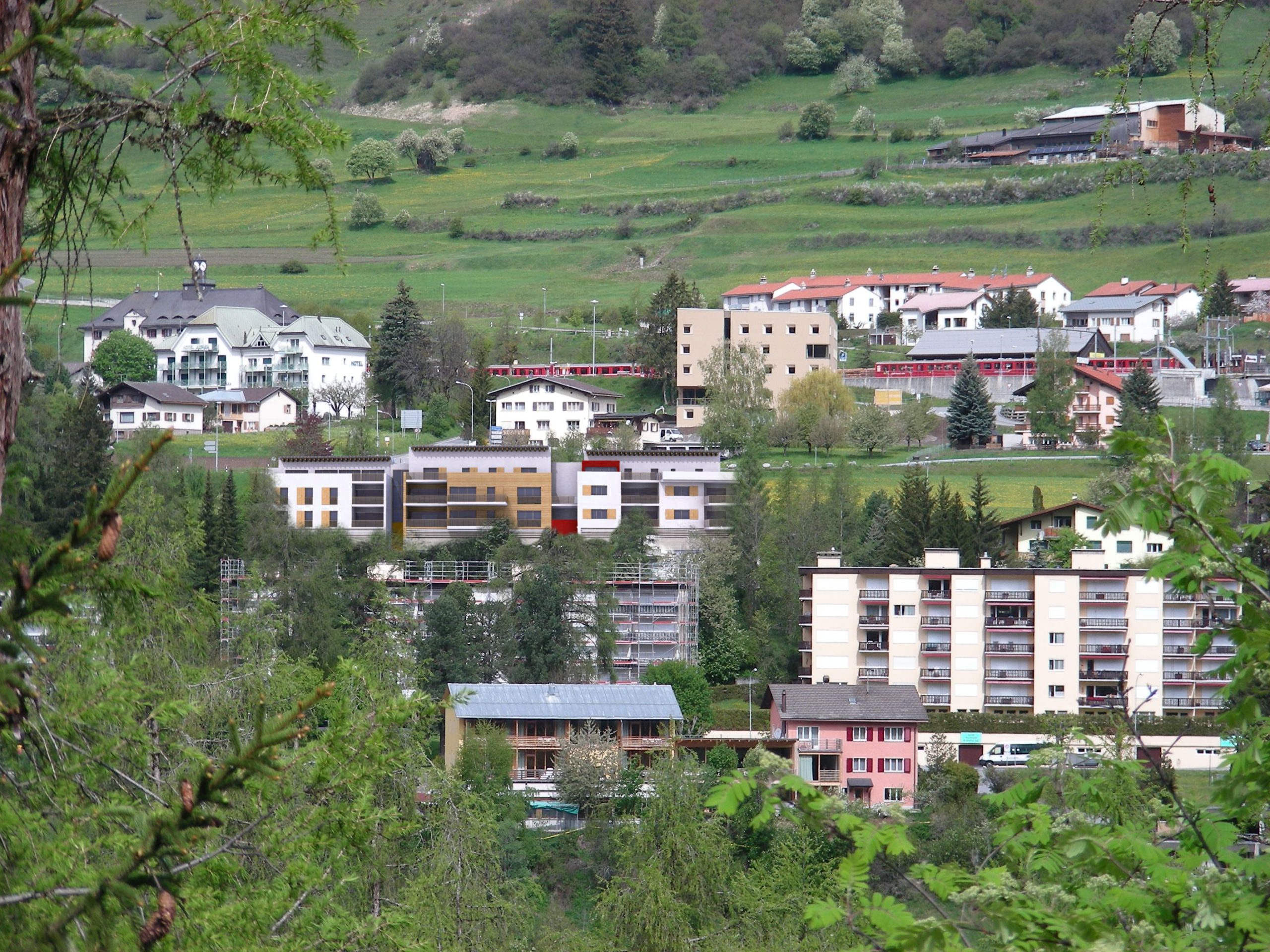 BELLORA_002b_M